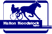 Halton Bloodstock Agency